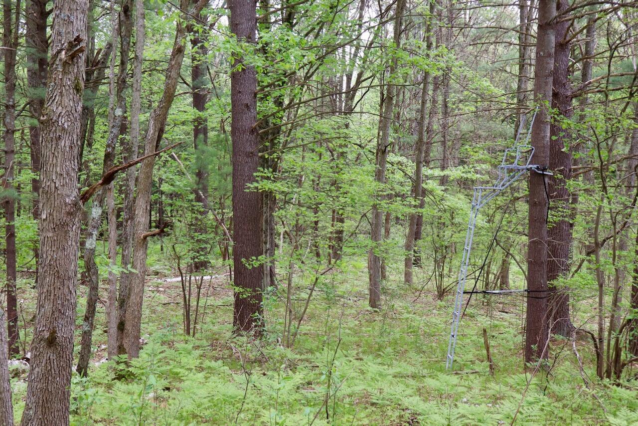 6153 South Branch Road Branch, MI 49402 - Photo 52 of 70 45