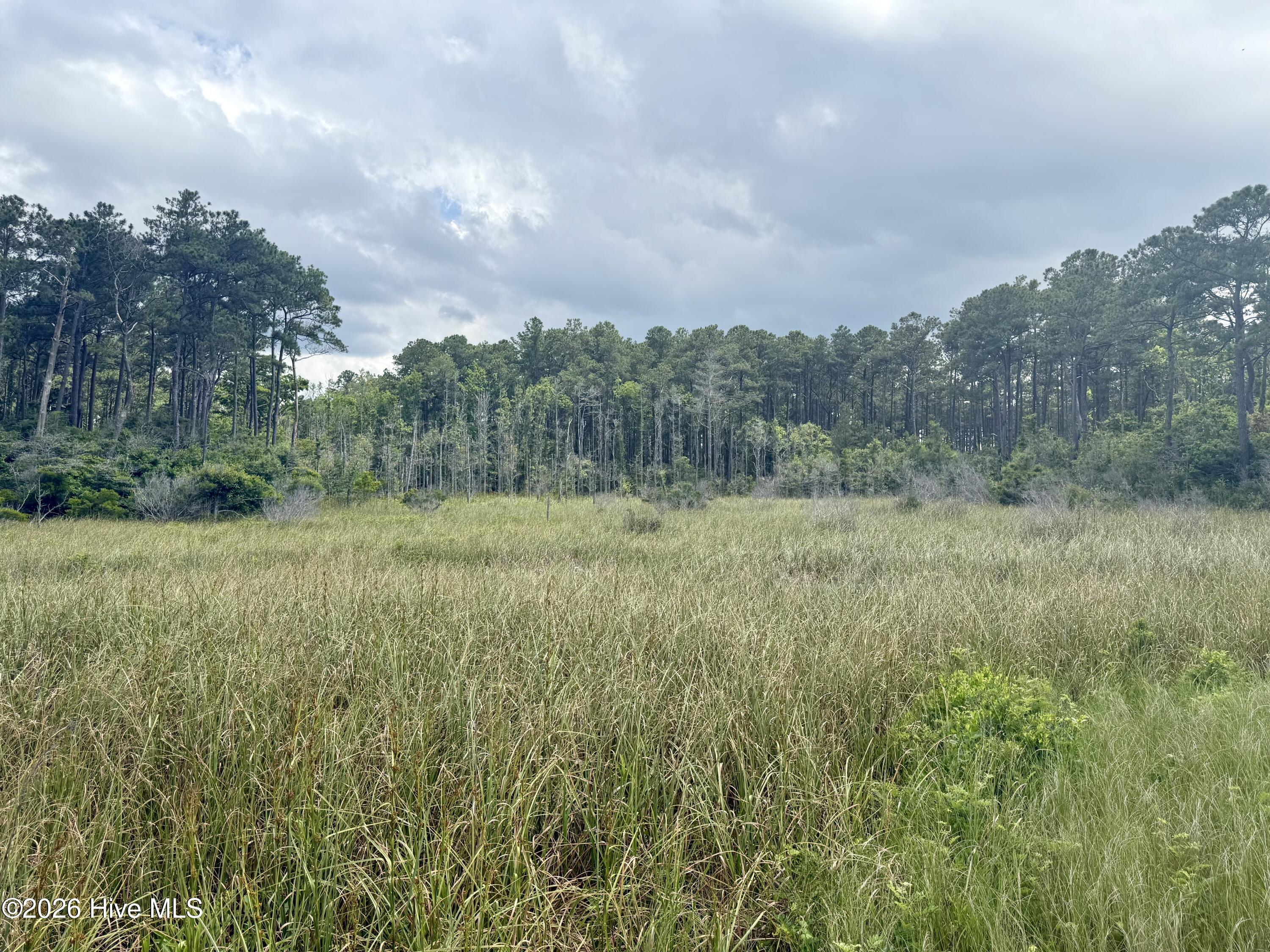 558 Sandy Point Drive Beaufort, NC 28516 - Photo 13 of 33 IMG_5948