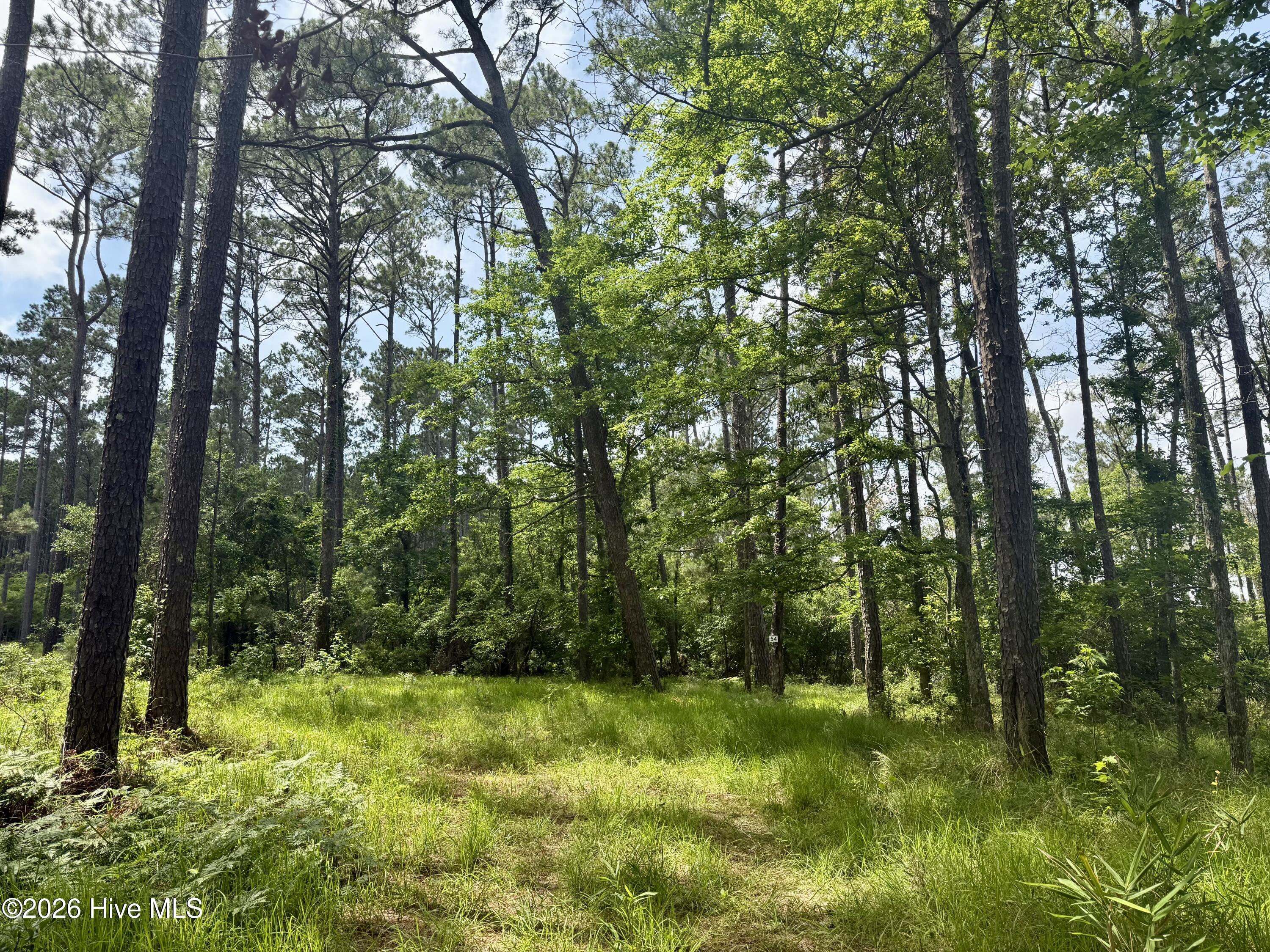 558 Sandy Point Drive Beaufort, NC 28516 - Photo 24 of 33 IMG_5931