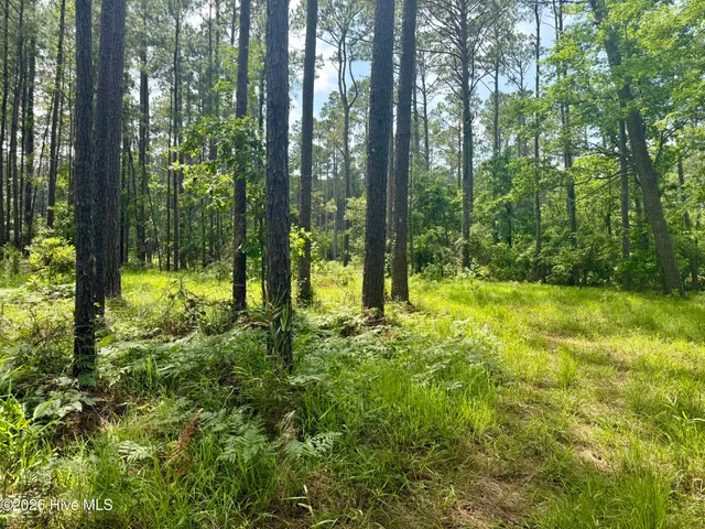 $175,000 | 558 Sandy Point Drive, Beaufort, NC 28516