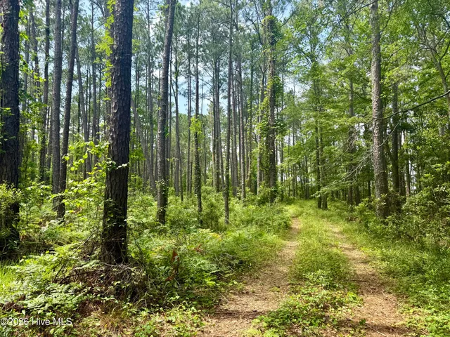 $175,000 | 558 Sandy Point Drive, Beaufort, NC 28516