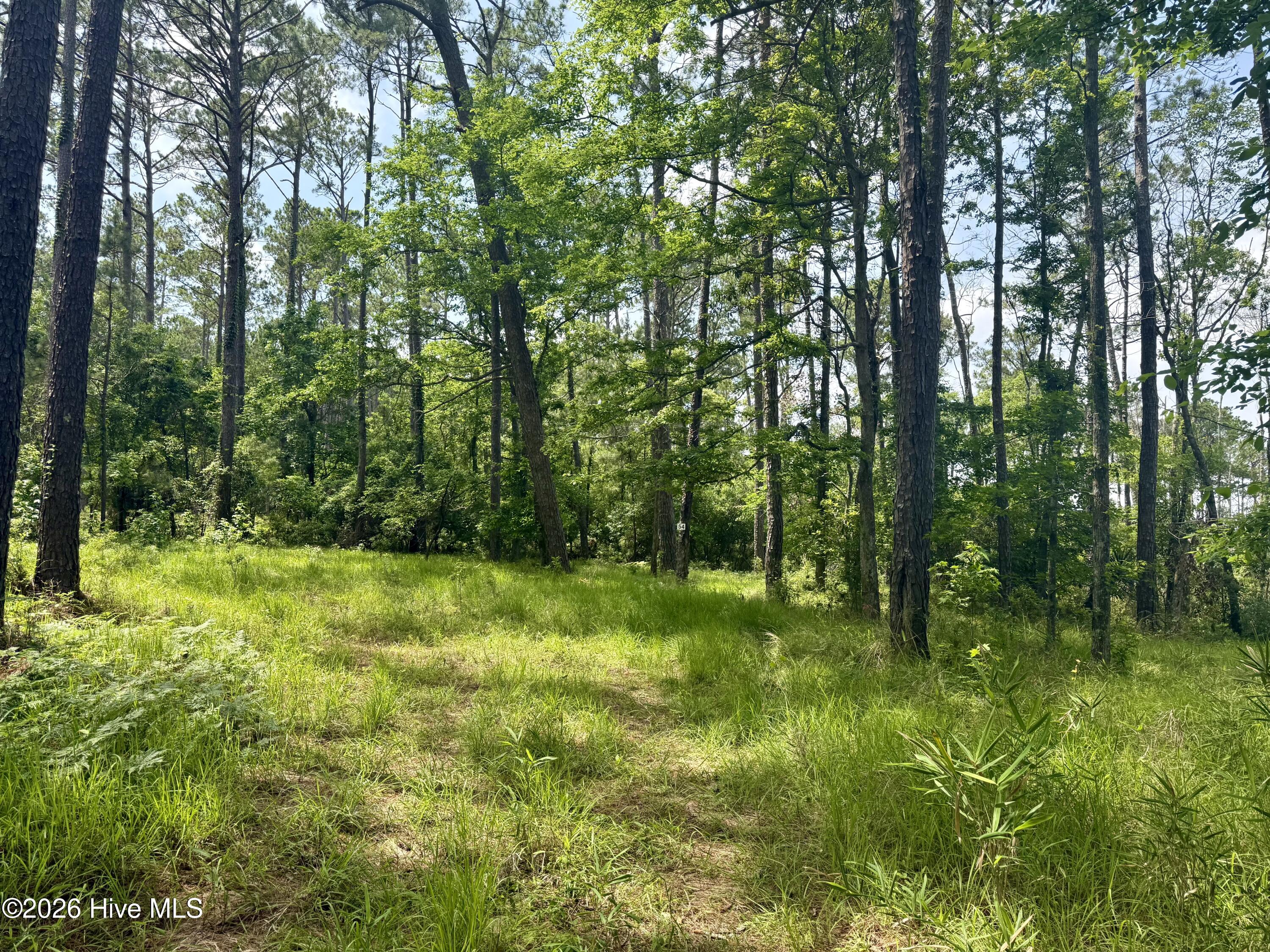 558 Sandy Point Drive Beaufort, NC 28516 - Photo 31 of 33 IMG_5929