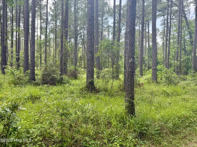 $175,000 | 558 Sandy Point Drive, Beaufort, NC 28516