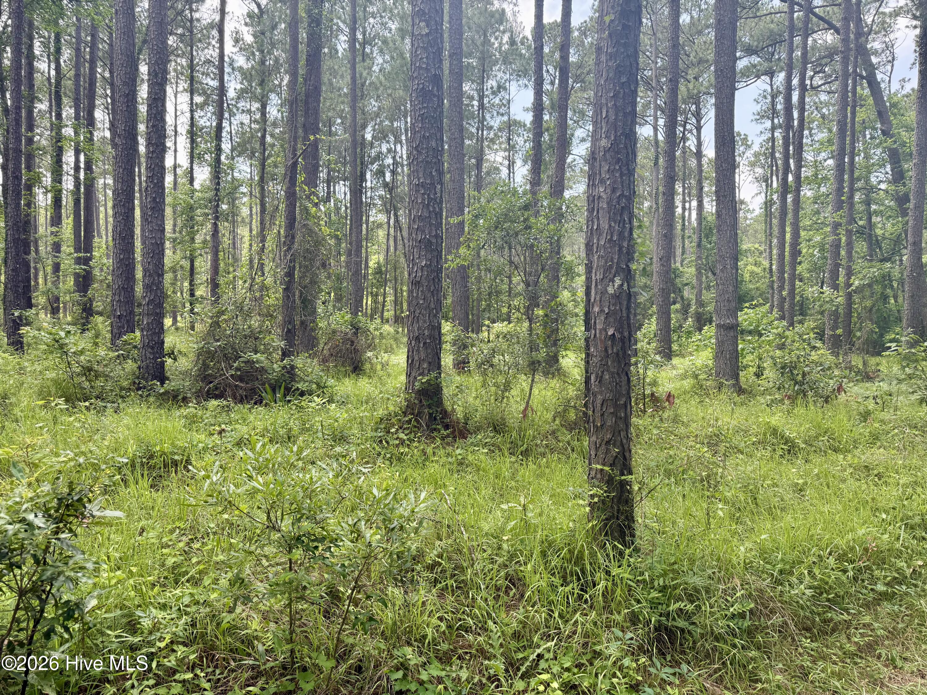 558 Sandy Point Drive Beaufort, NC 28516 - Photo 32 of 33 IMG_5928