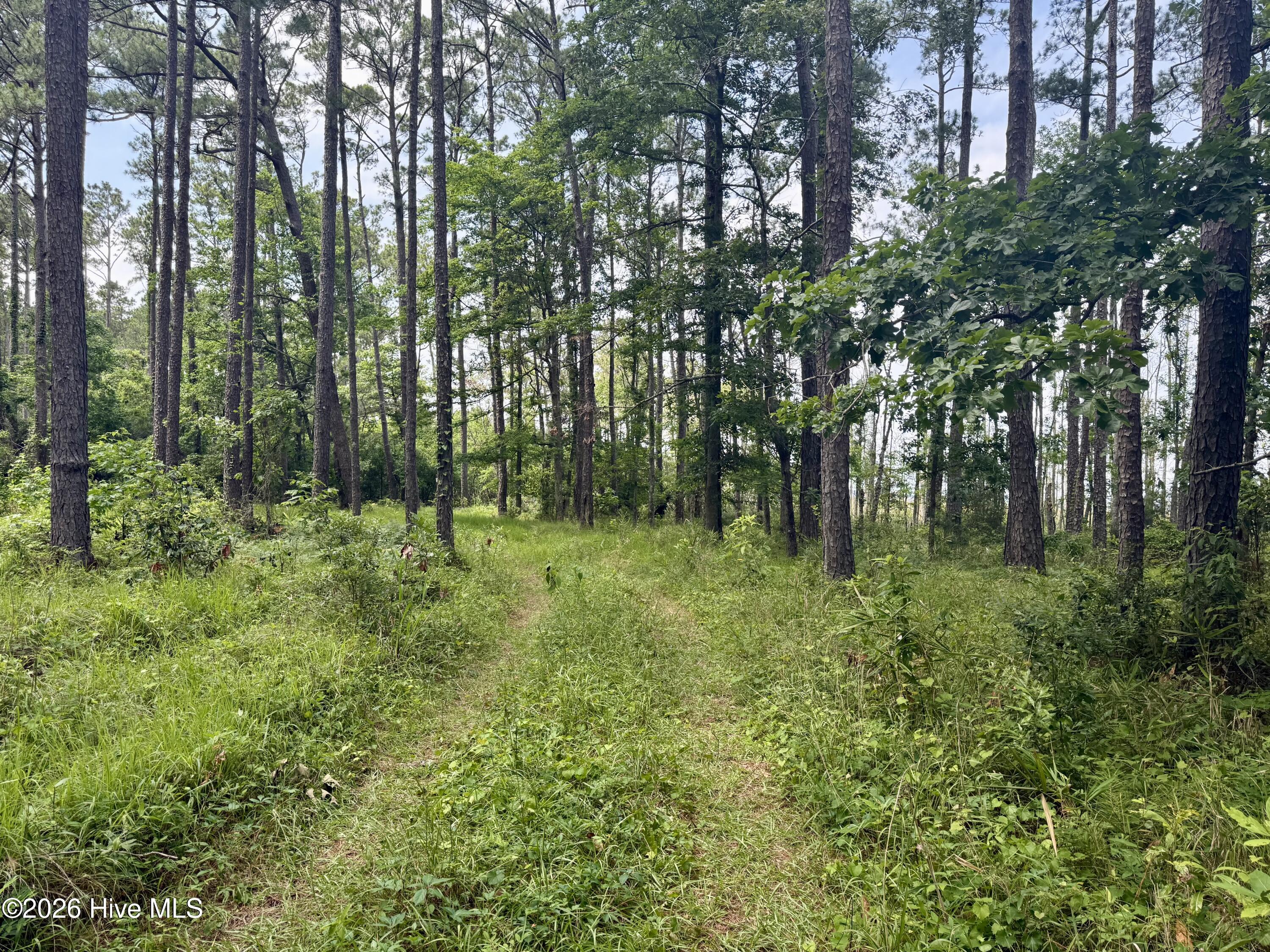 558 Sandy Point Drive Beaufort, NC 28516 - Photo 33 of 33 IMG_5927