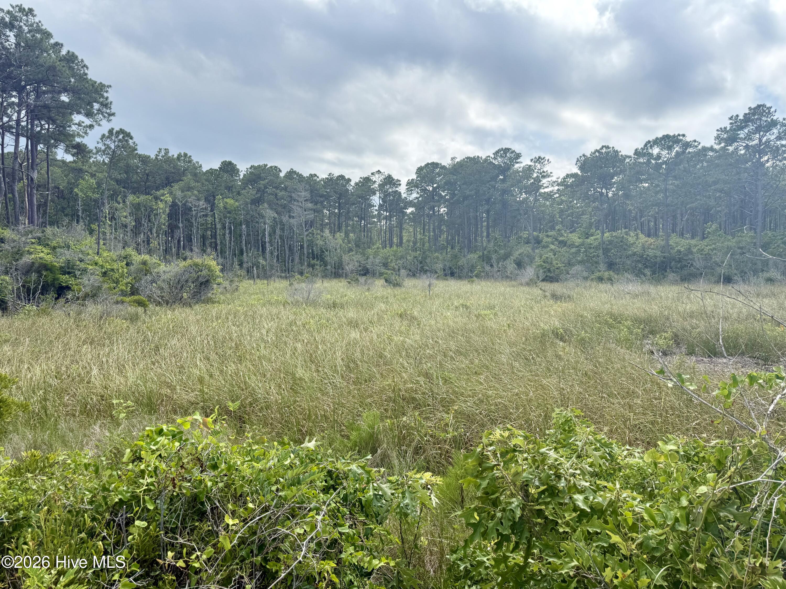 558 Sandy Point Drive Beaufort, NC 28516 - Photo 4 of 33 IMG_5962