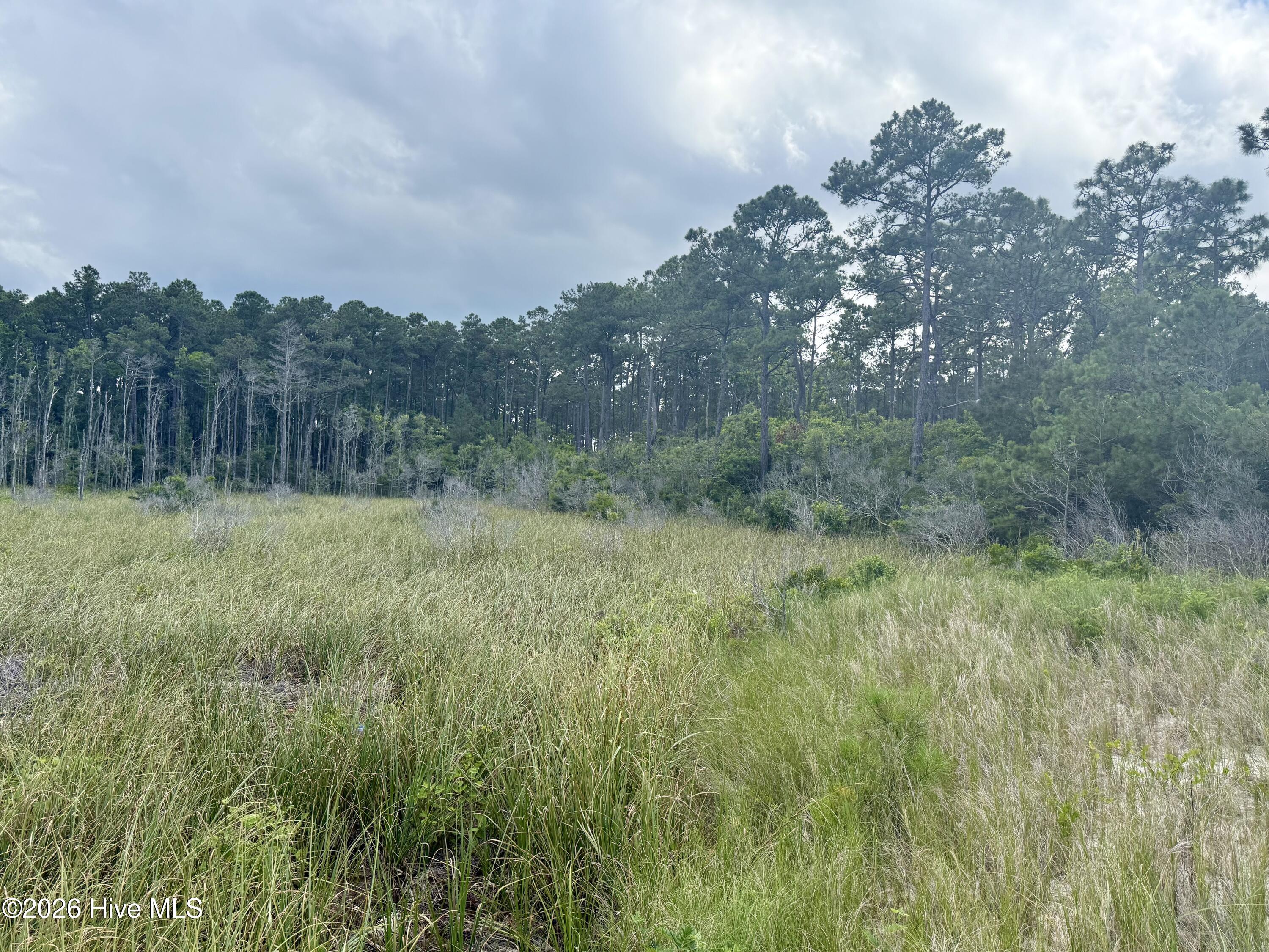558 Sandy Point Drive Beaufort, NC 28516 - Photo 6 of 33 IMG_5959