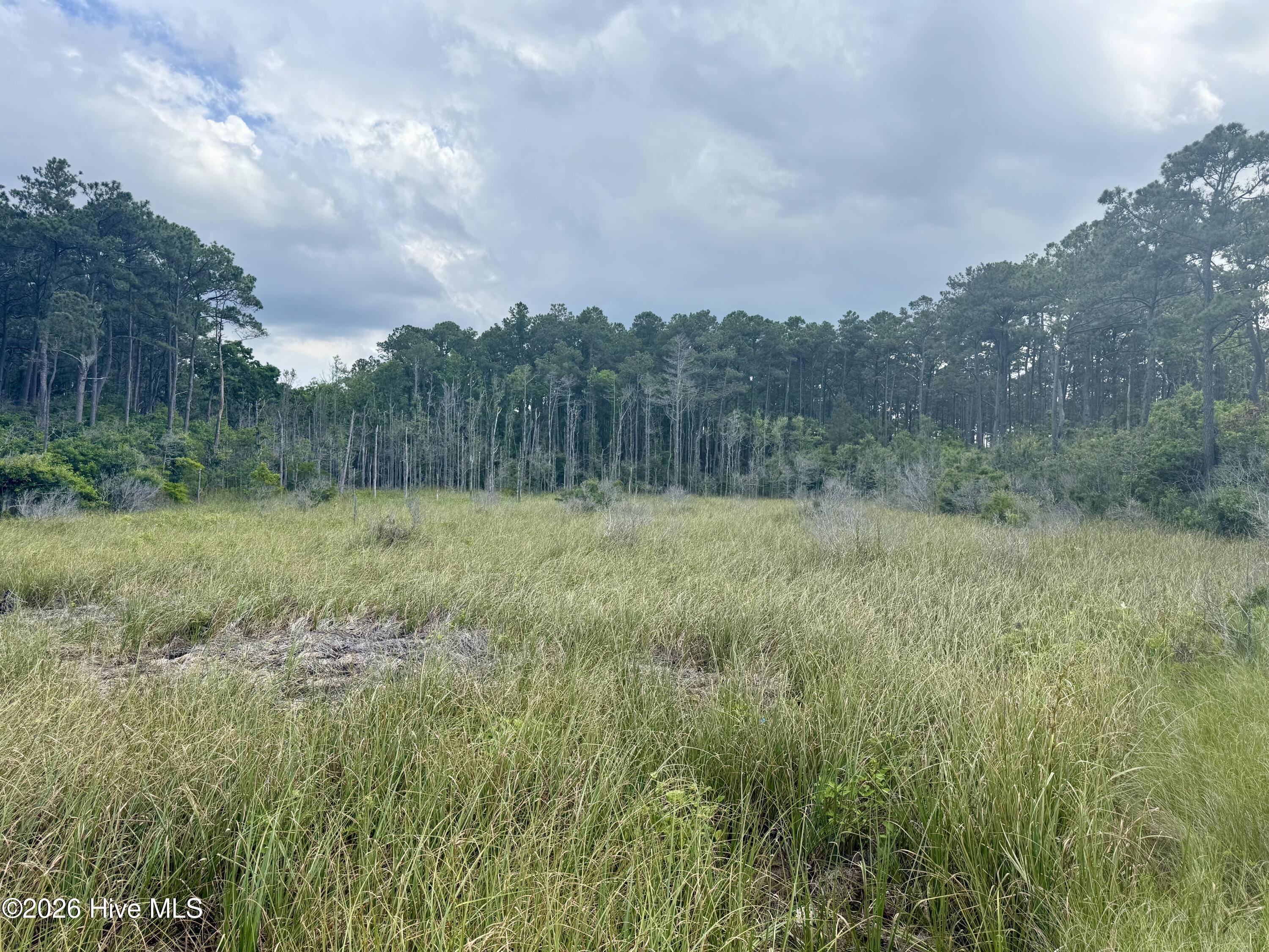 558 Sandy Point Drive Beaufort, NC 28516 - Photo 8 of 33 IMG_5957