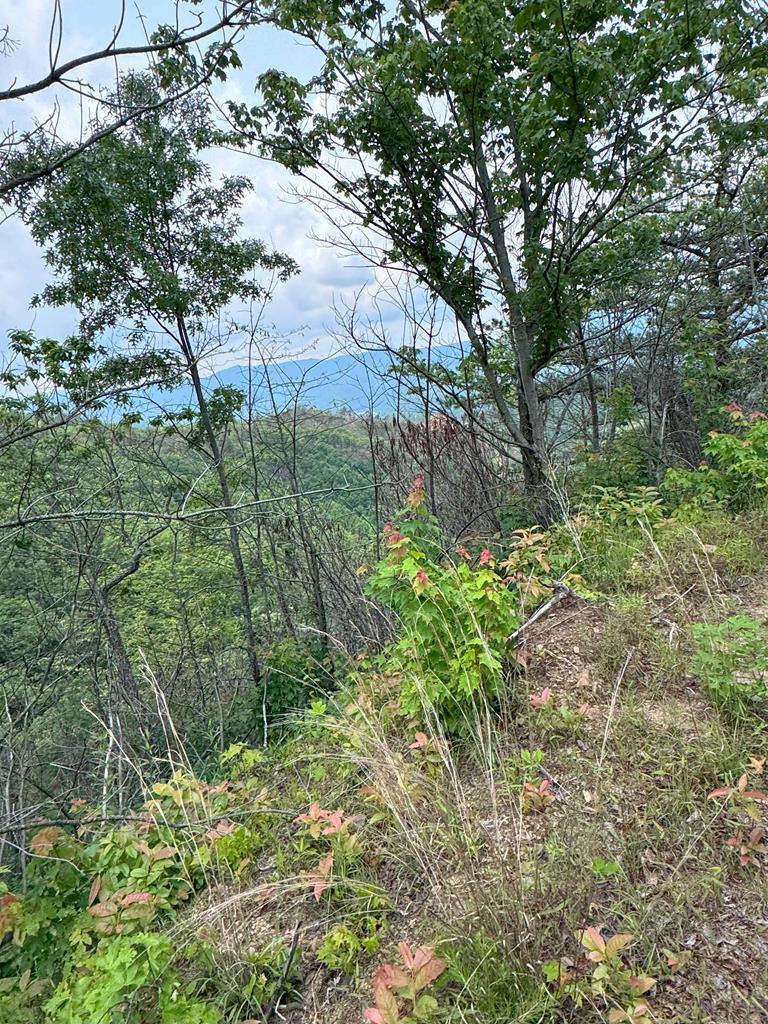 88-acres Bolden Branch Road Andrews, NC 28901 - Photo 1 of 34 Main View