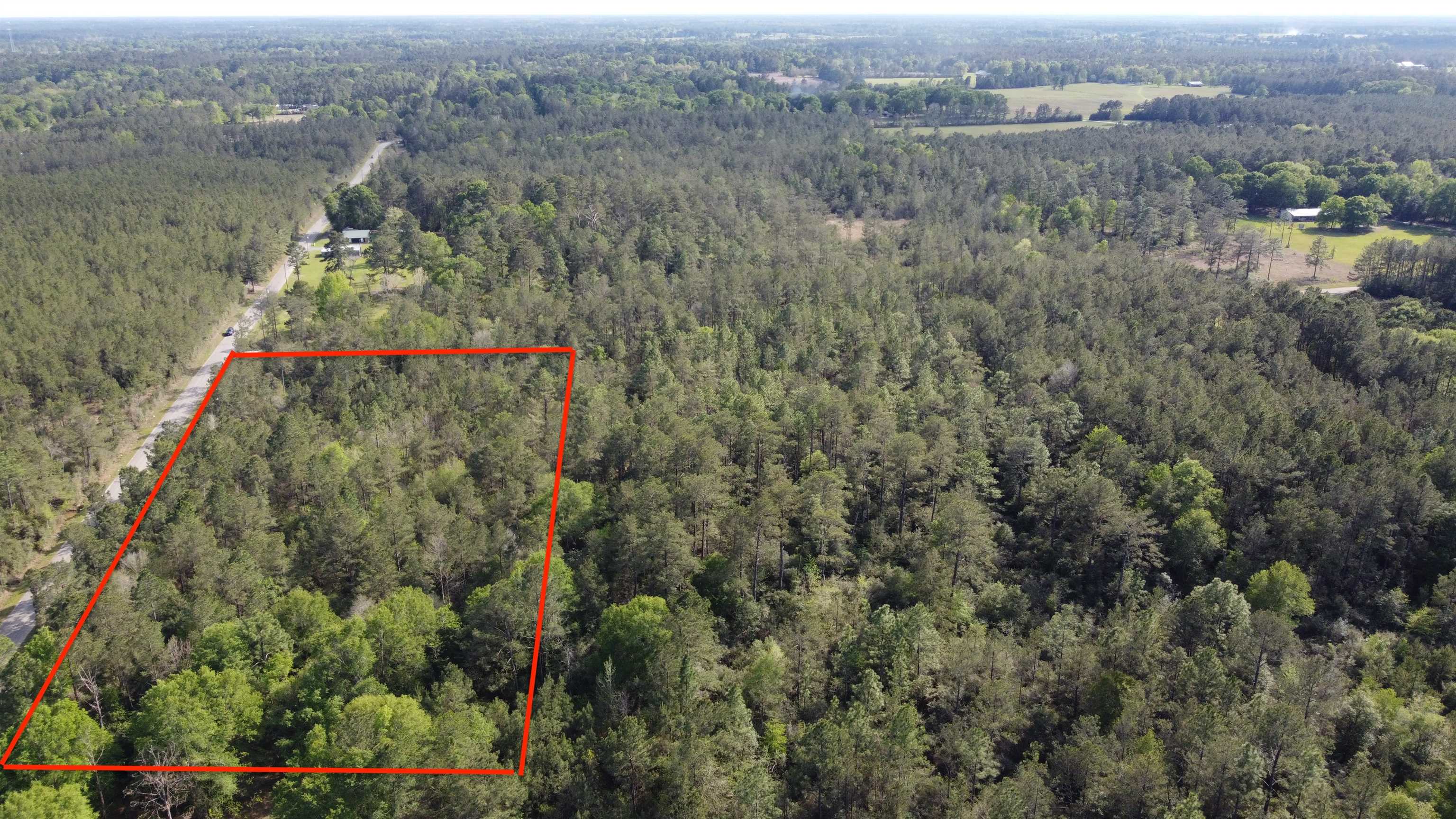 Five 5 Acre Tract Road Buna, TX 77612 - Photo 6 of 13