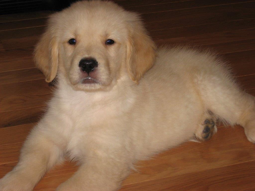 55 Green Street, Unit D147 Clinton, MA 01510 - Photo 21 of 21 a view of a small space