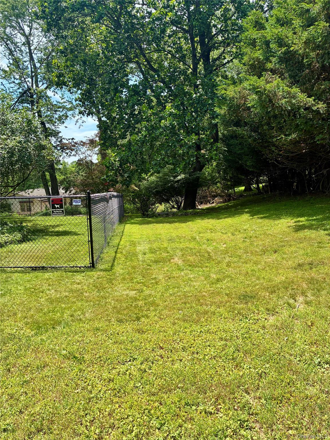 24 Ann Boulevard Spring Valley, NY 10977 - Photo 24 of 25 a view of a field with a trees