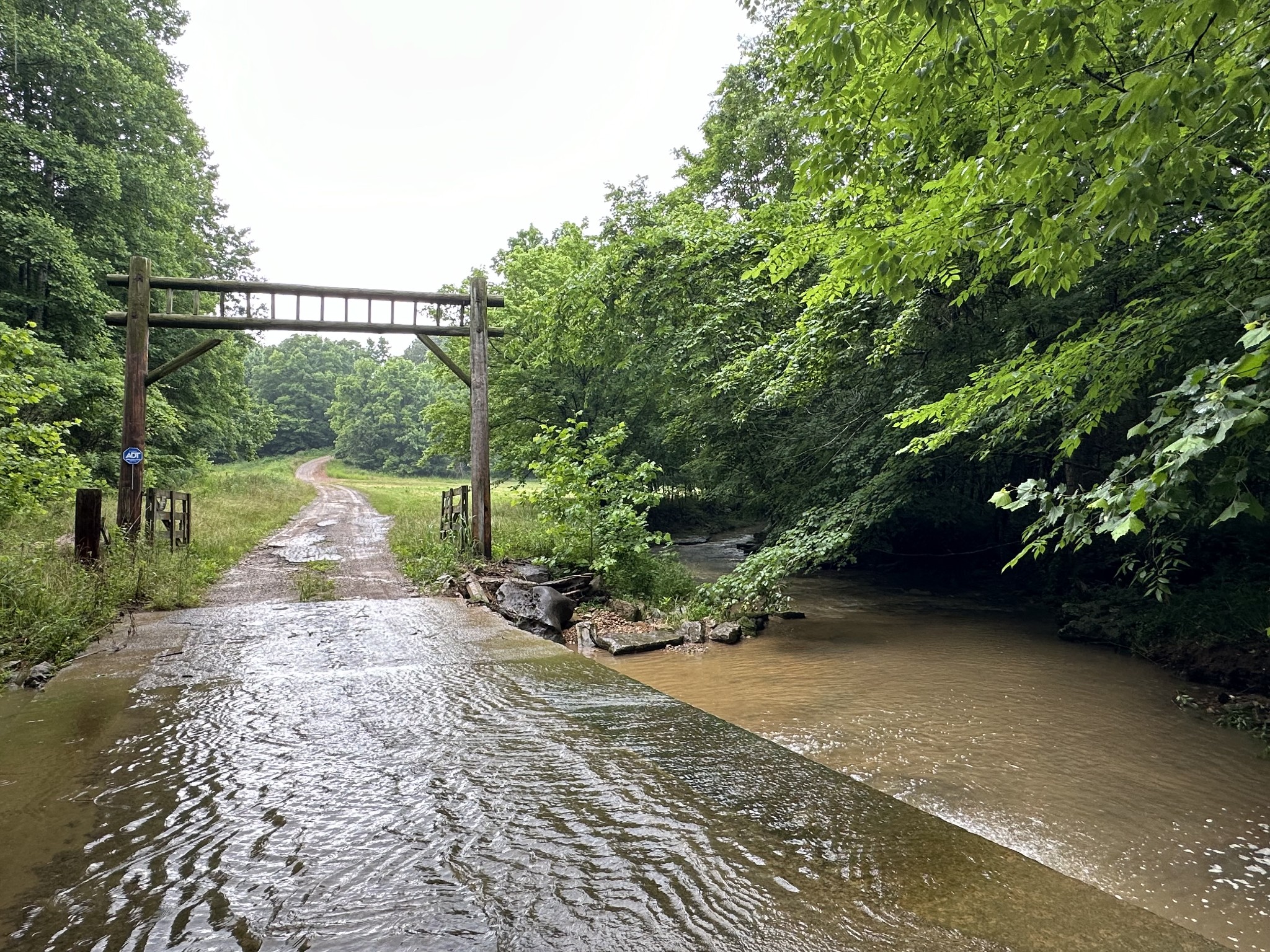 245 Fanny Tom Gains Road Franklin, KY 42134 - Photo 1 of 19 a view of a pathway with a yard