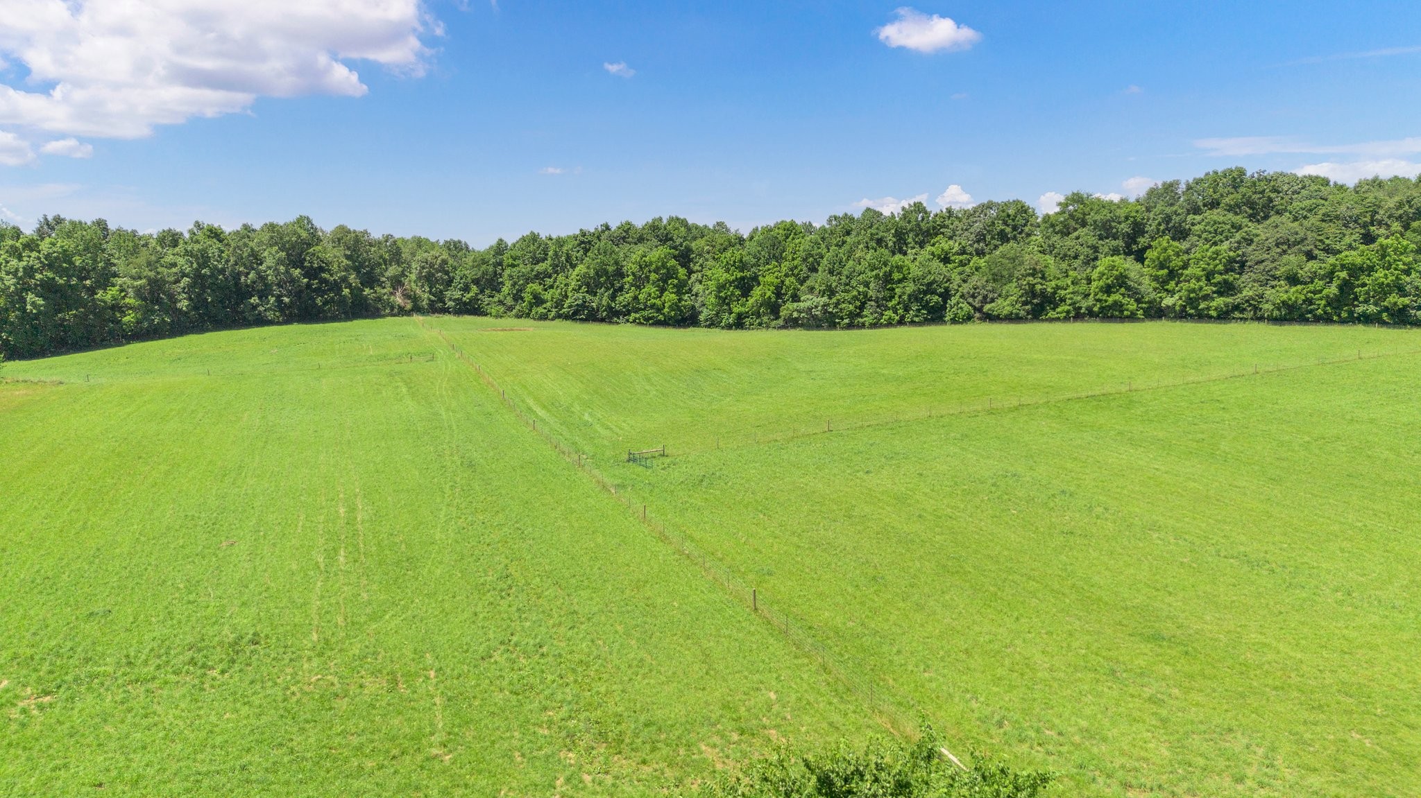245 Fanny Tom Gains Road Franklin, KY 42134 - Photo 15 of 19 a view of a green field with plants