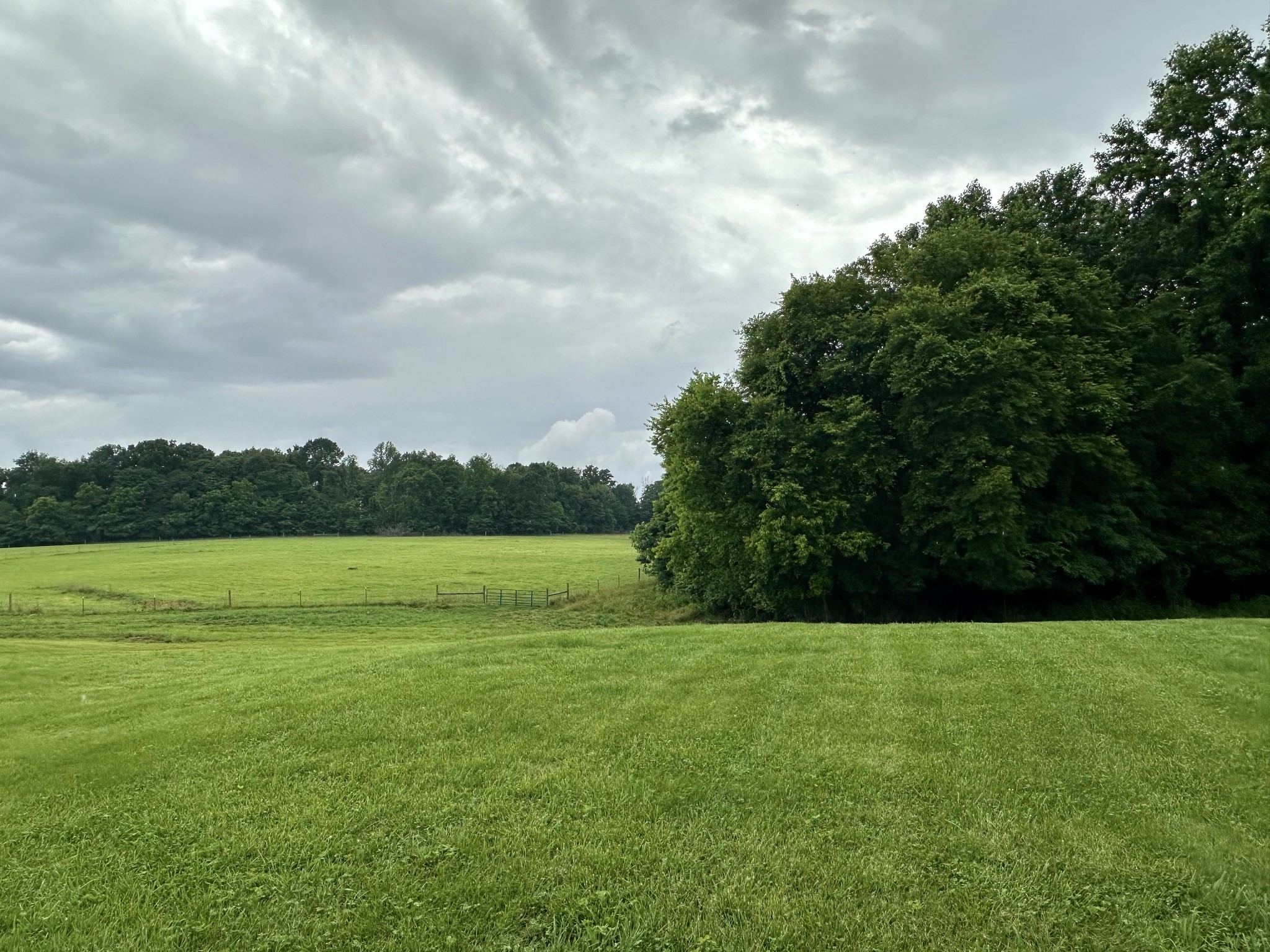 245 Fanny Tom Gains Road Franklin, KY 42134 - Photo 16 of 19 a view of a grassy field