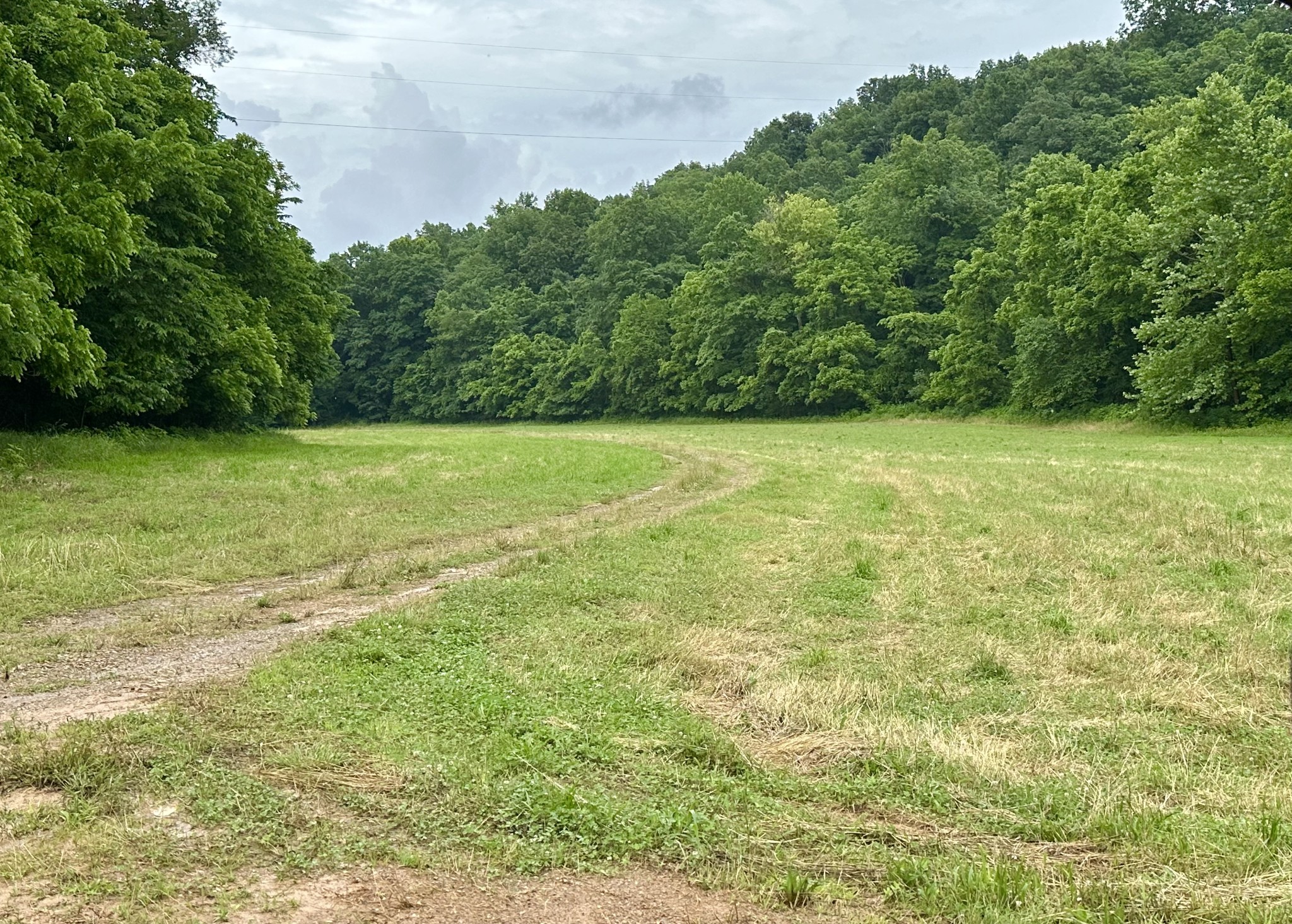 245 Fanny Tom Gains Road Franklin, KY 42134 - Photo 17 of 19 a view of yard with green space