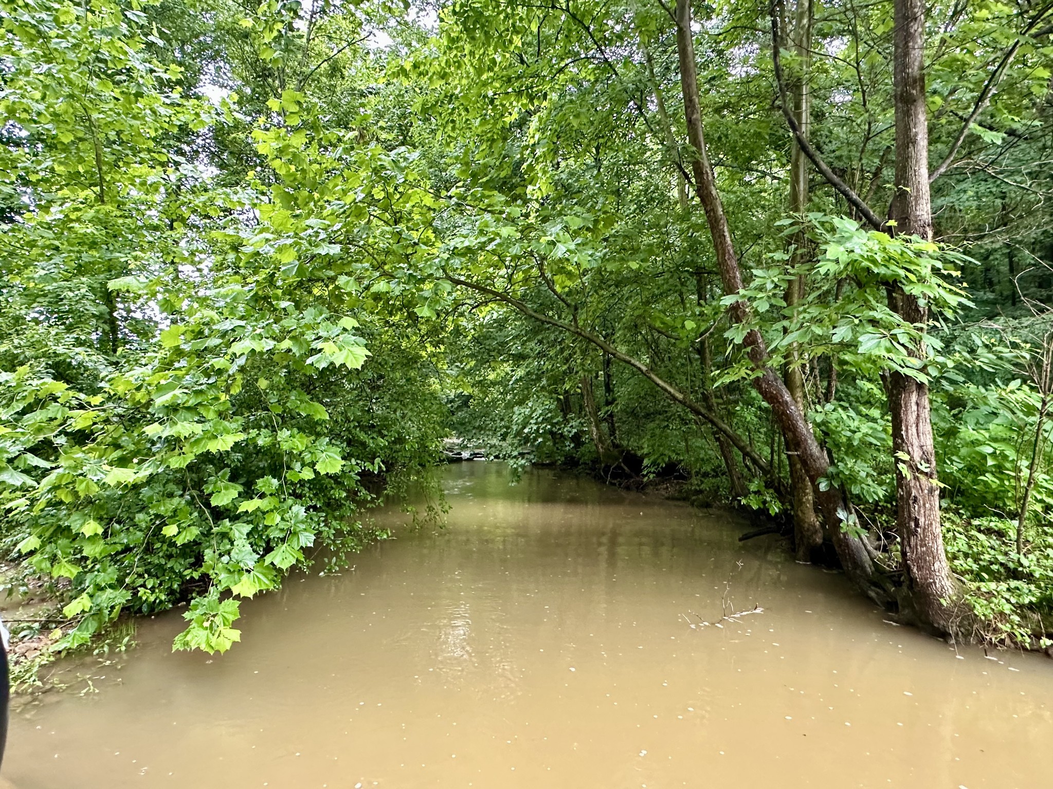 245 Fanny Tom Gains Road Franklin, KY 42134 - Photo 3 of 19 a view of a lake with top of house