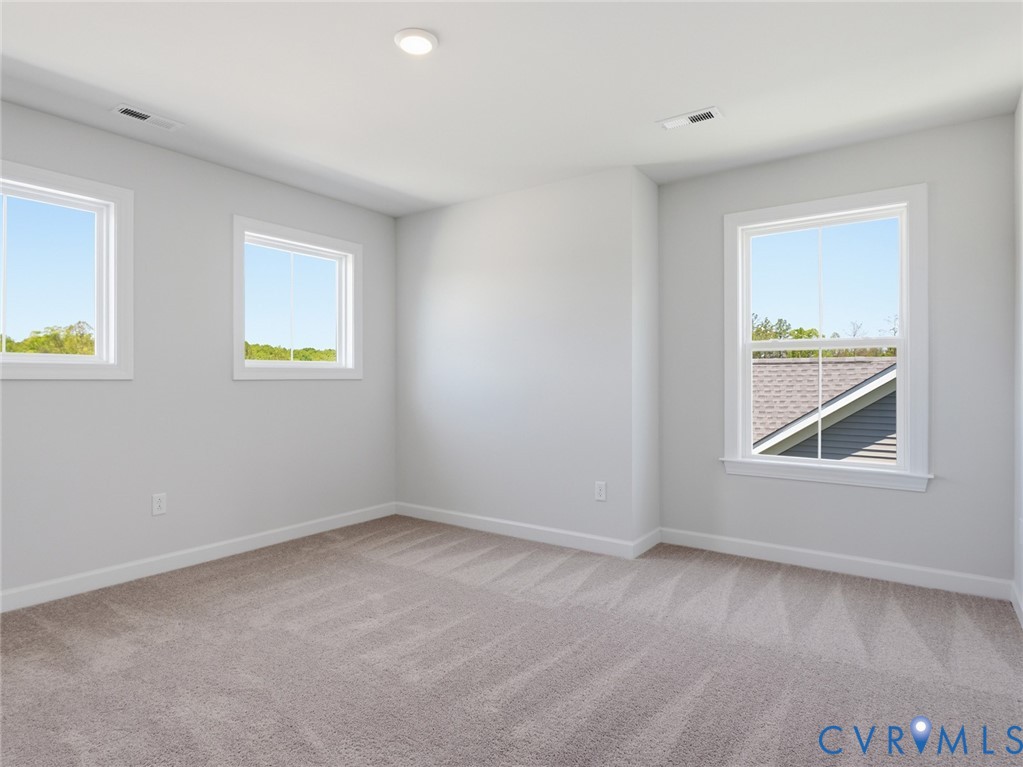 19012 Palisades Ridge Moseley, VA 23120 - Photo 28 of 46