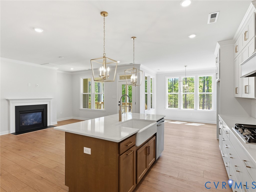 19012 Palisades Ridge Moseley, VA 23120 - Photo 4 of 46
