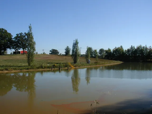 a view of lake with green space