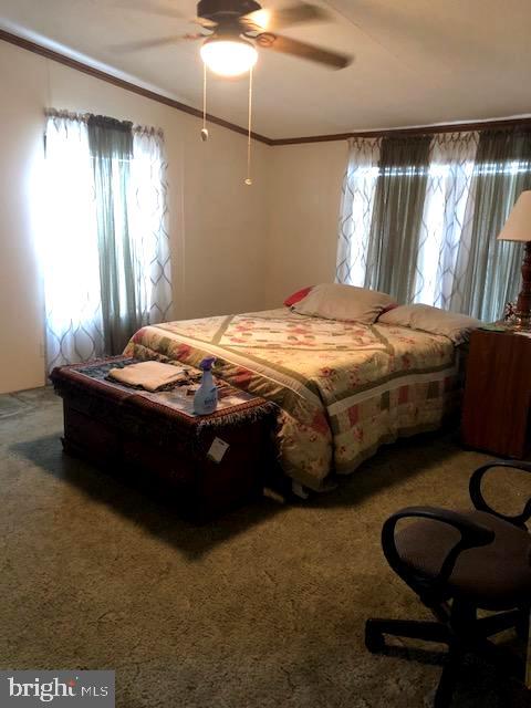 16923 Alcott Road Hagerstown, MD 21740 - Photo 15 of 38 Master Bedroom at one end of home