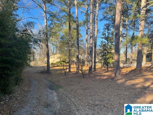 938 Morris Majestic Road Morris, AL 35116 - Photo 17 of 17