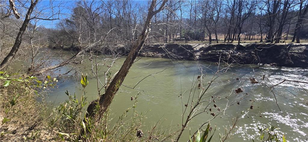a view of a forest filled with trees
