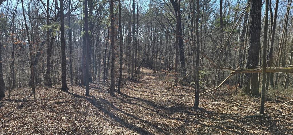 1 Flatbottom Road Ball Ground, GA 30107 - Photo 11 of 48 a view of a forest