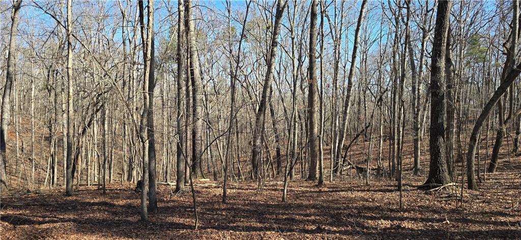 1 Flatbottom Road Ball Ground, GA 30107 - Photo 14 of 48 a view of a backyard