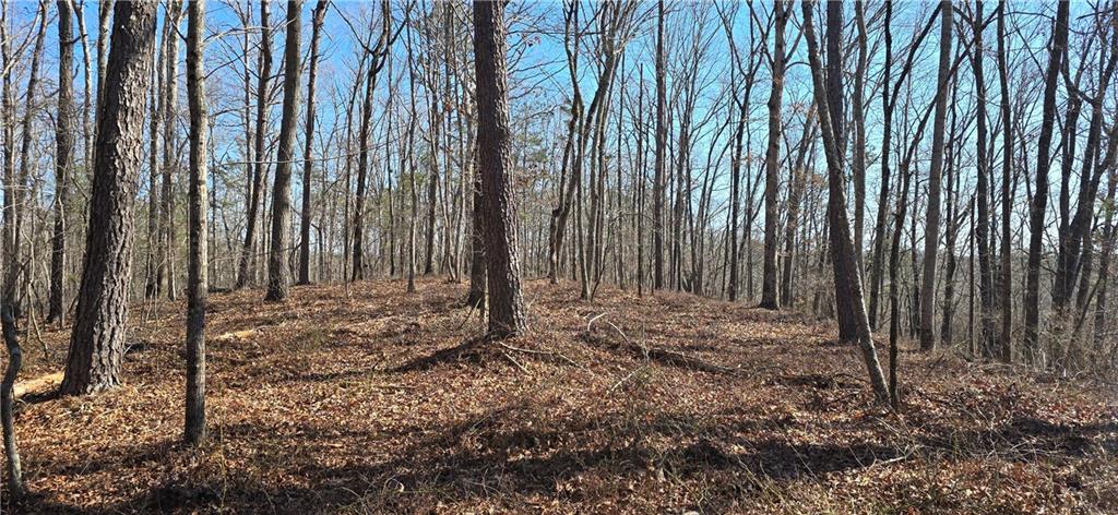 1 Flatbottom Road Ball Ground, GA 30107 - Photo 15 of 48 a view of a backyard with pathway