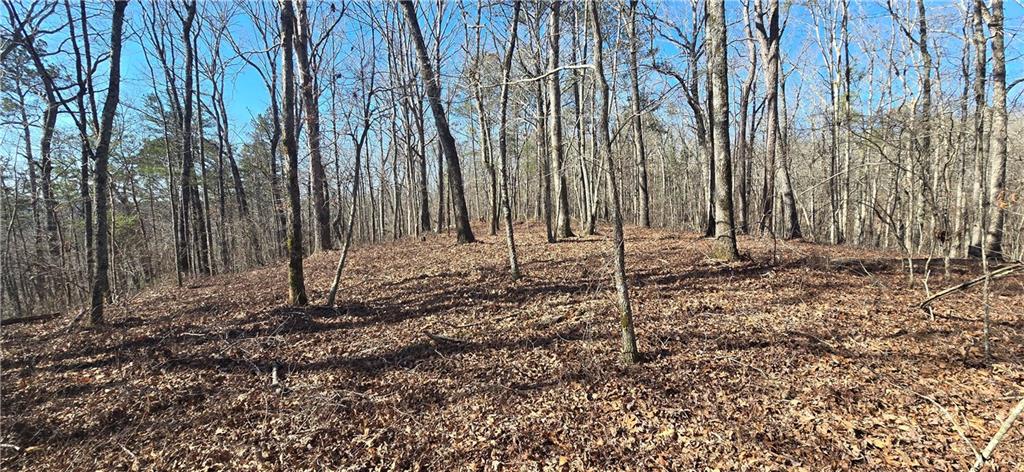 1 Flatbottom Road Ball Ground, GA 30107 - Photo 16 of 48 a backyard of a house with lots of green space