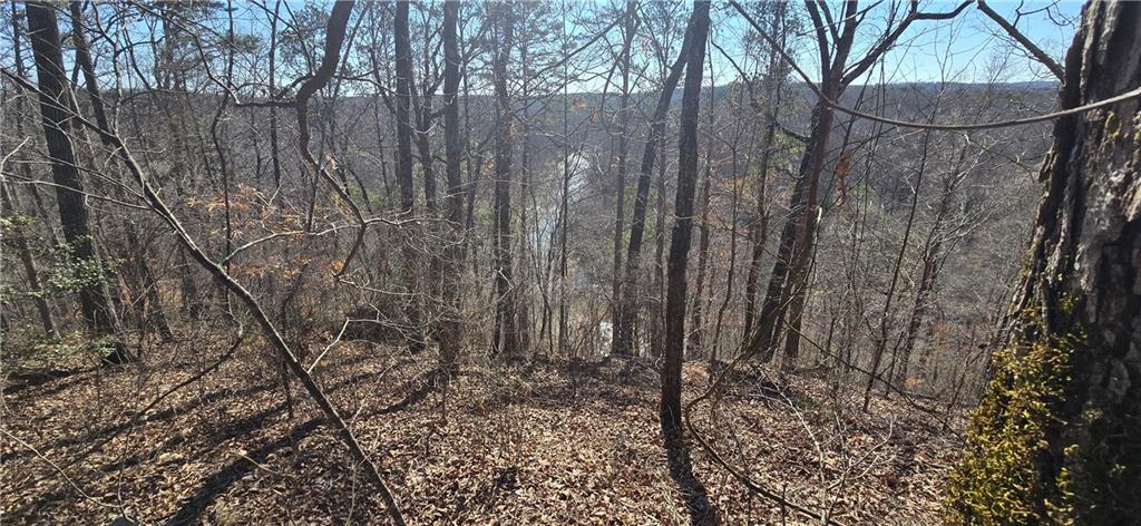 1 Flatbottom Road Ball Ground, GA 30107 - Photo 17 of 48 a view of a yard with large trees