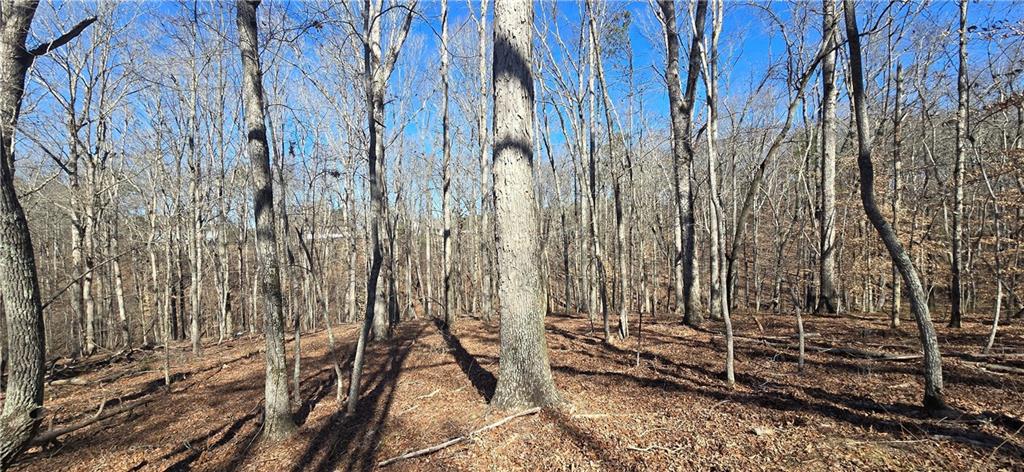 1 Flatbottom Road Ball Ground, GA 30107 - Photo 18 of 48 a view of a backyard of the house