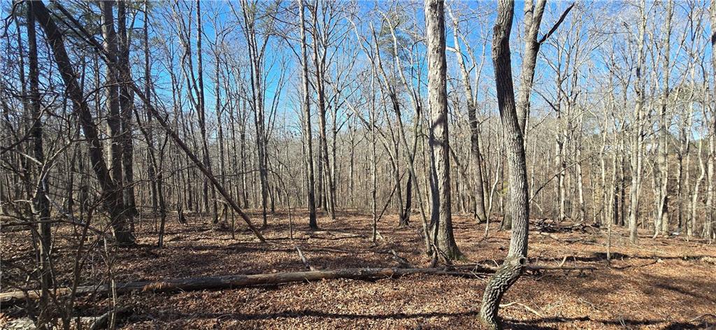 1 Flatbottom Road Ball Ground, GA 30107 - Photo 19 of 48 a view of a backyard with of trees