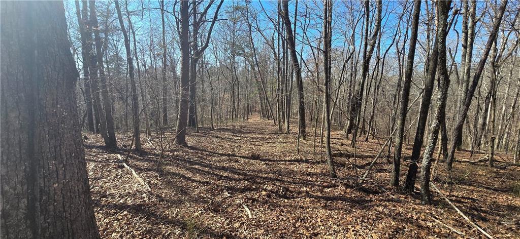 1 Flatbottom Road Ball Ground, GA 30107 - Photo 20 of 48