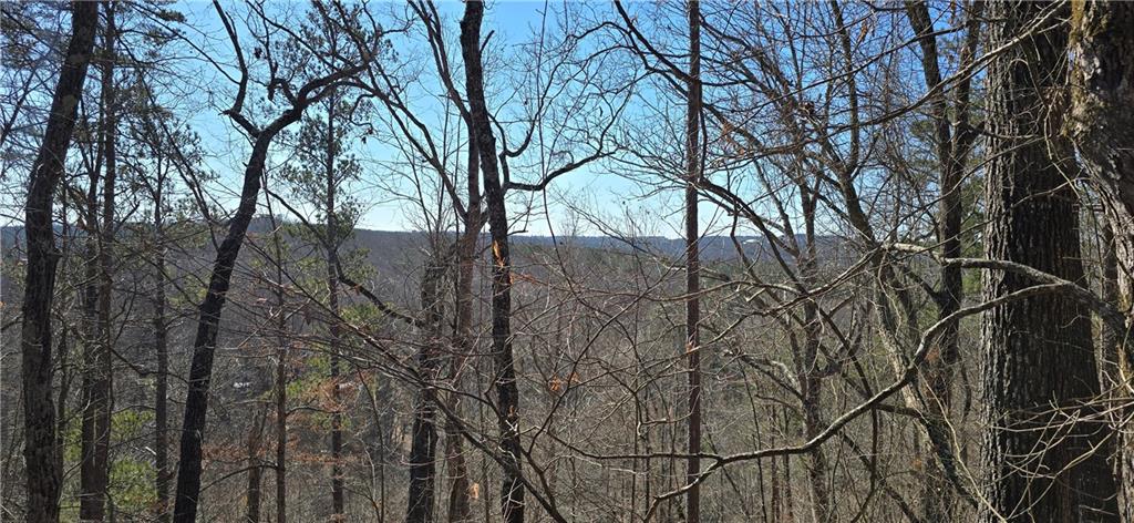 1 Flatbottom Road Ball Ground, GA 30107 - Photo 2 of 48 a view of mountain view with trees