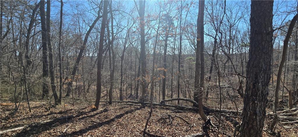 1 Flatbottom Road Ball Ground, GA 30107 - Photo 21 of 48 a view of a backyard with trees
