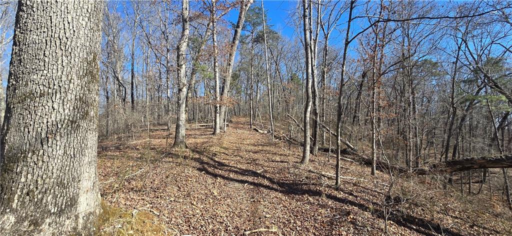 1 Flatbottom Road Ball Ground, GA 30107 - Photo 22 of 48 a view of a yard with trees