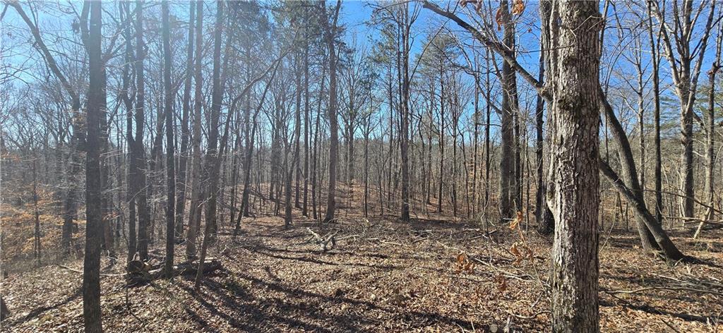 1 Flatbottom Road Ball Ground, GA 30107 - Photo 23 of 48 a view of wooden fence