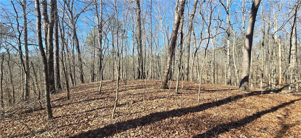 1 Flatbottom Road Ball Ground, GA 30107 - Photo 24 of 48 a view of a backyard of the house