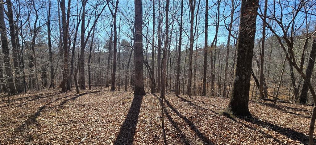 1 Flatbottom Road Ball Ground, GA 30107 - Photo 25 of 48 a view of a backyard