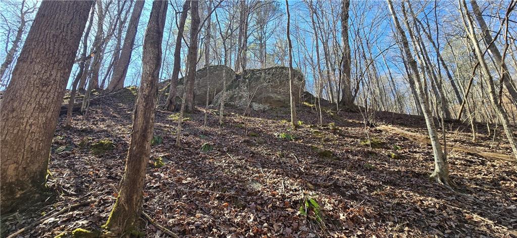 1 Flatbottom Road Ball Ground, GA 30107 - Photo 26 of 48 a view of a backyard