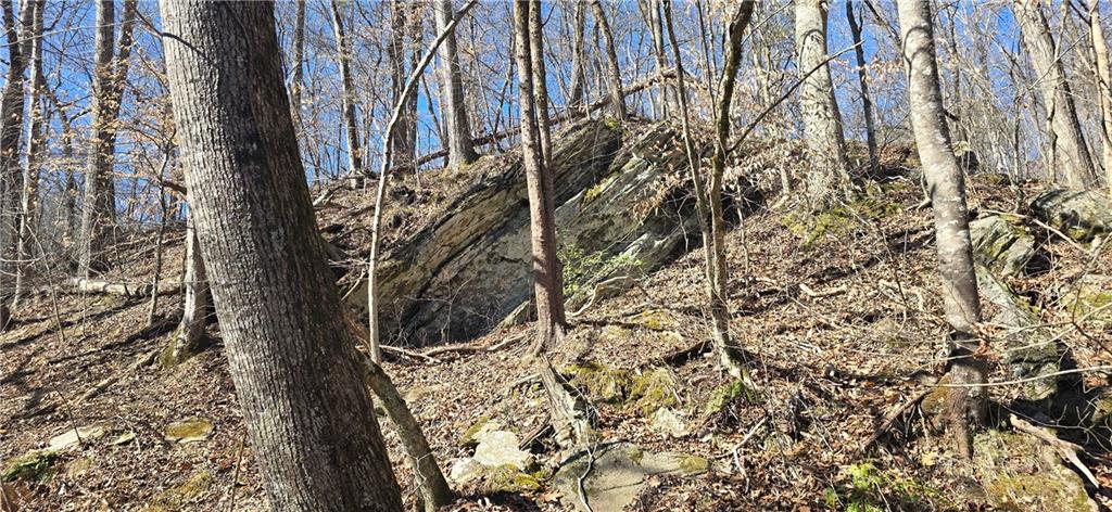 1 Flatbottom Road Ball Ground, GA 30107 - Photo 27 of 48 a view of a yard with a tree