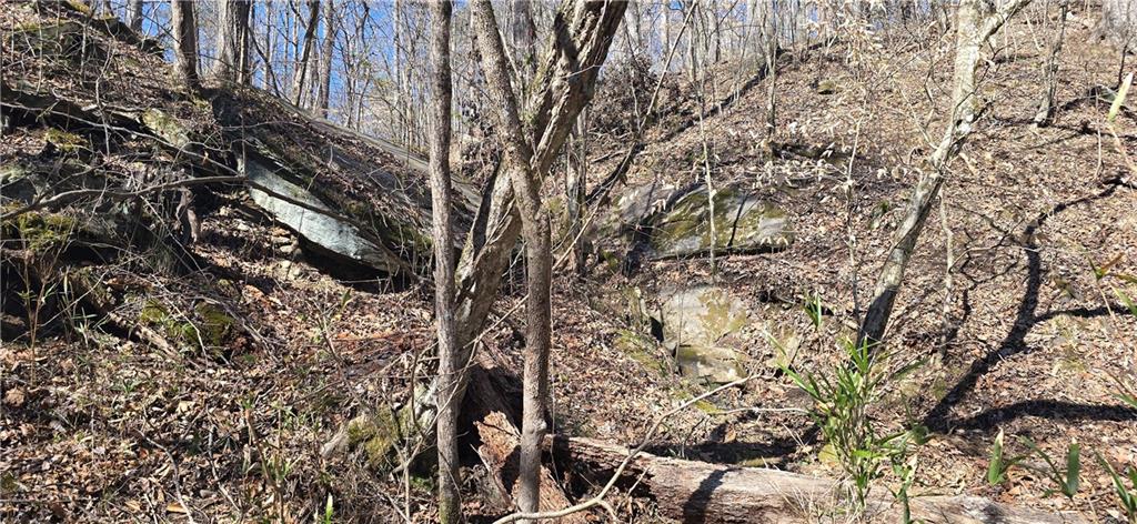 1 Flatbottom Road Ball Ground, GA 30107 - Photo 28 of 48