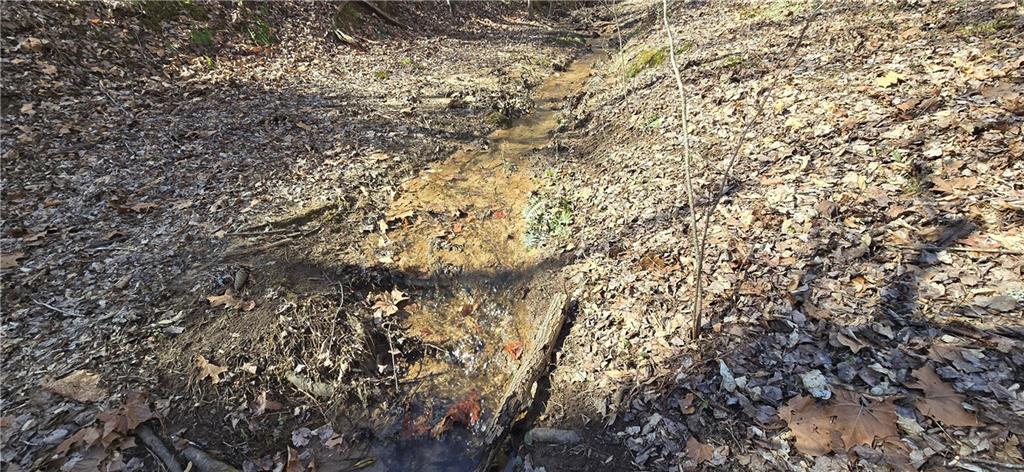 1 Flatbottom Road Ball Ground, GA 30107 - Photo 29 of 48 a view of a yard