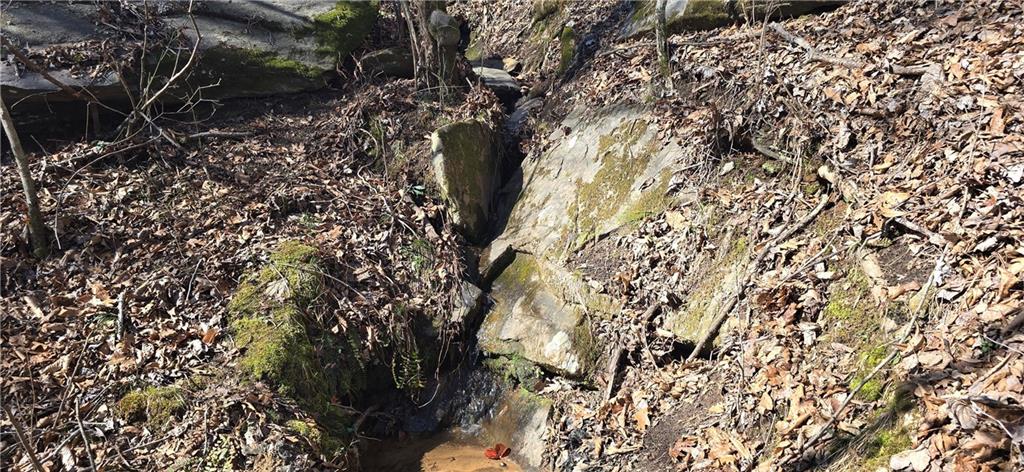 1 Flatbottom Road Ball Ground, GA 30107 - Photo 30 of 48 a view of tree