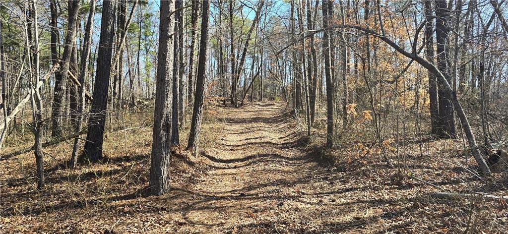 1 Flatbottom Road Ball Ground, GA 30107 - Photo 3 of 48 a view of outdoor space