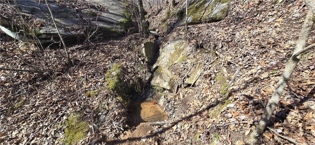 1 Flatbottom Road Ball Ground, GA 30107 - Photo 31 of 48