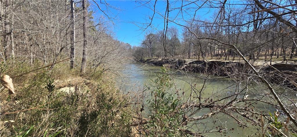 1 Flatbottom Road Ball Ground, GA 30107 - Photo 33 of 48 a view of a lake in between the two trees