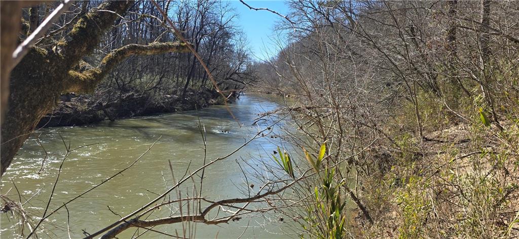 1 Flatbottom Road Ball Ground, GA 30107 - Photo 34 of 48 a view of a yard